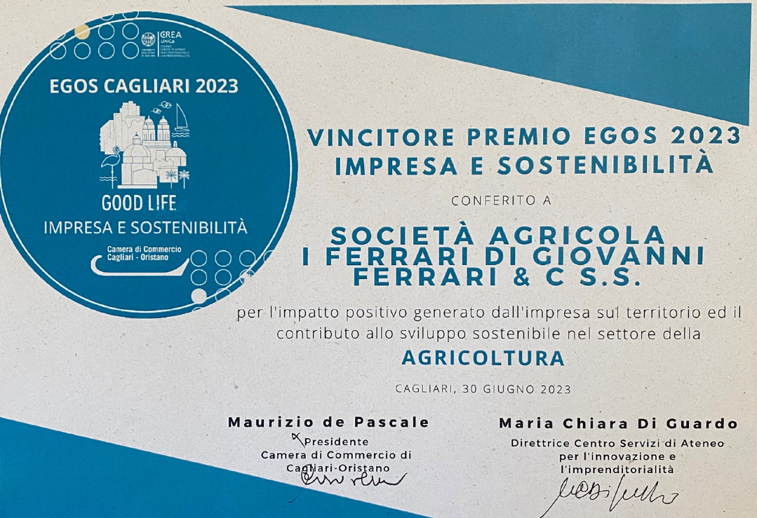 premiazione certificato